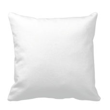 Plush Pillow 20