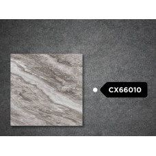 Goodwill Floor Tiles 600x600mm GX66010