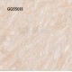 Goodwill Floor Tiles 500x500mm GG55013