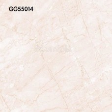 Goodwill Floor Tiles 500x500mm GG55014