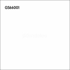 Goodwill Floor Tiles 600x600mm GS66001